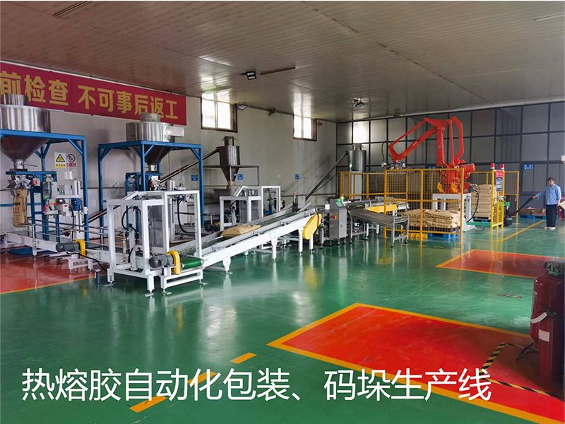 熱熔膠自動(dòng)化包裝、碼垛生產(chǎn)線